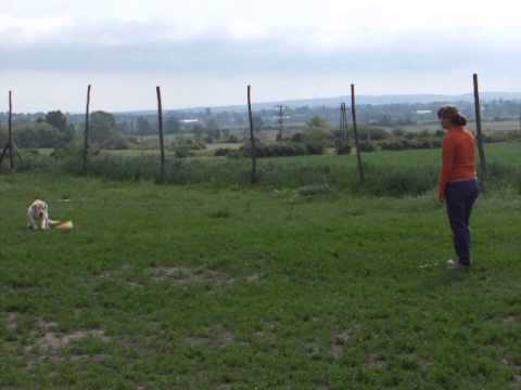 Középfok 05 11 4.rész