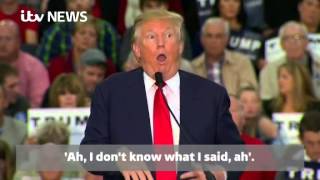 Donald Trump appears to mock a reporter