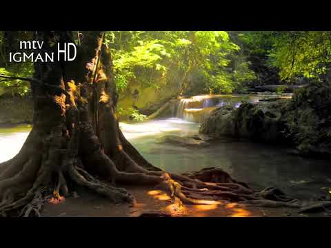 RAMAZANSKA DOVA 13. DAN - MTV IGMAN