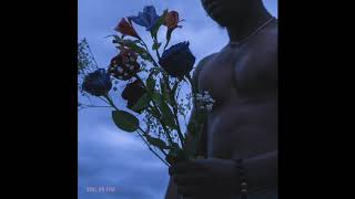 Mannywellz - Soul on Fire (official audio)