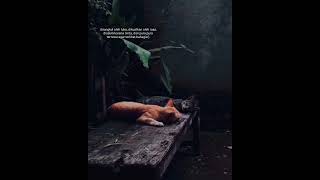 Download lagu Polosan Video Sad #storywa #shorts mp3 Download lagu Polosan Video Sad #storywa #shorts mp3