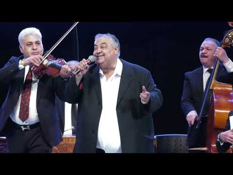 Recital Gicu Petrache 2019