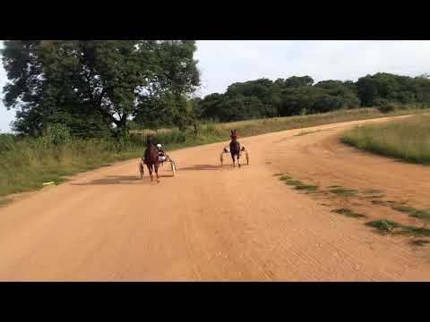 Incauto (desclassificado)x Especialista