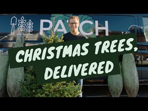 Patch | Christmas trees, delivered 🎄