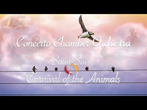 Carnival of the Animals, Camille Saint-Saëns: Aviary