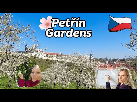 🌳🌸 Petřín Gardens in Bloom | Learn Czech Outdoors