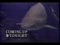 Cbs Evening News Short Promo 1993 03 25