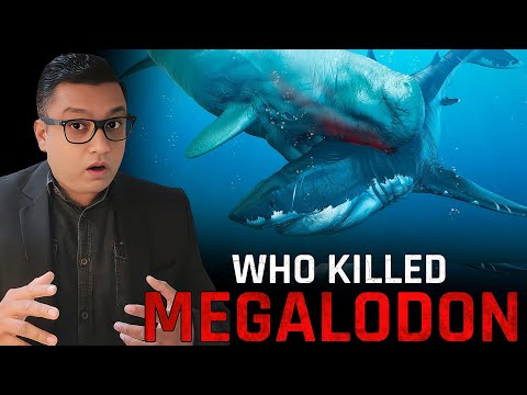 Why MEGALODON Got Extinct? Does the Megalodon Still Exist?