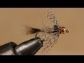 Guide's Choice Hare's Ear 