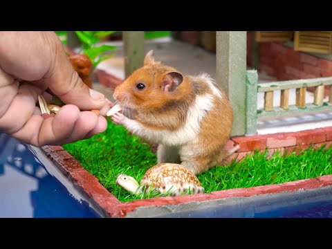 Build Hamster Maze - DIY Brick Hamster House