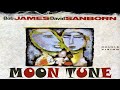 Bob James & David Sanborn - Moon Tune