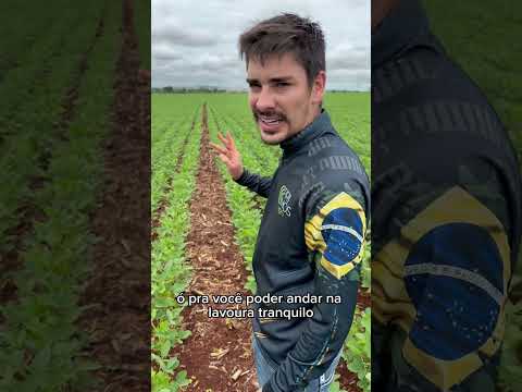 O final ??? #primosagro #agronomia #agro #produtorrural #seuduardo #agronomo #jaoeseuduardo
