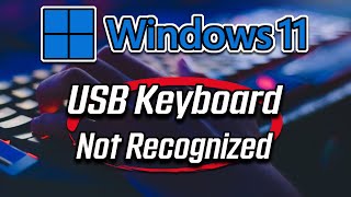 USB Keyboard Not Recognized in Windows 11 FIX [2024]