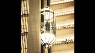 Childish Major - Tip Top (feat. Mez &amp; Baby Rose) (Official Audio)