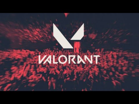 Team Veterans ||  The Gang is here