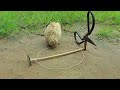 Easy Technique Quail Trap DIY Using Scissors And Wood How To Make Bird Trap