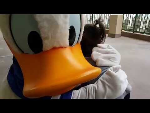 Meeting Donald Duck in Disney's California Adventure at the Disneyland Resort with a great big hug