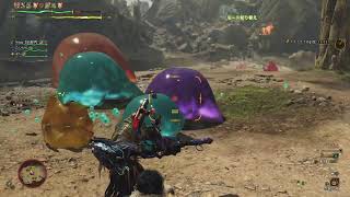ワイルズ雑記