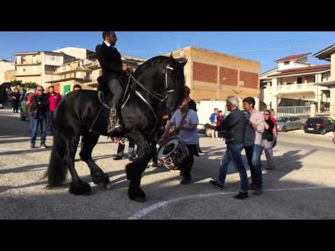 Sfilata Raffadali 2016 con il grande frisone Thomas