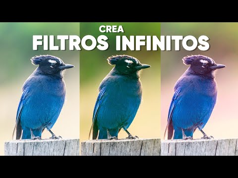 Crea FILTROS INFINITOS para tus FOTOS