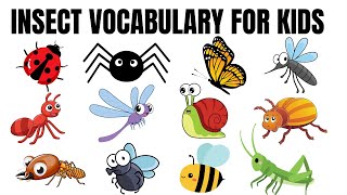 "Insect Adventures for Curious Kids: Discovering Ants, Butterflies, and Ladybugs!"