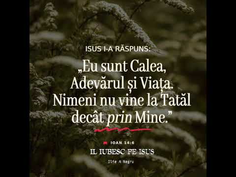 IL IUBESC PE ISUS - Ilie A Negru