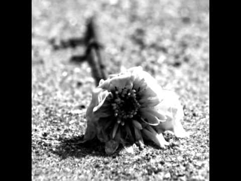 AnDist - Verwelkt (prod. by S.B.P.)