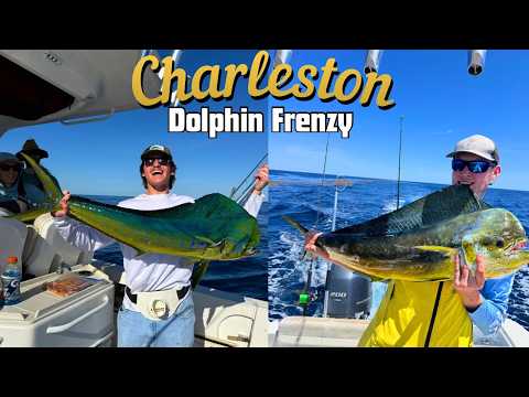 Offshore Charleston Dolphin Mayhem (Mahi-Mahi)