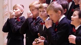 O Rei Leão - The Lion Sleeps Tonight