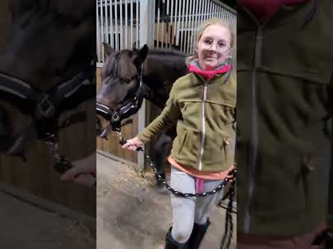 Kopytkowe Spa Pakusia 🐴🦄🤎 : nasz ig:@equestrians_girls1