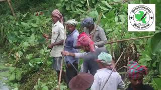 পাটগাতি বাস স্ট্যান্ড থেকে টুঙ্গিপাড়া থানা পর্যন্ত ২.২ কিলোমিটার খালটি পৌর প্রশাসকের উদ্যোগে পরিষ্কার পরিচ্ছন্ন করা হয়েছে