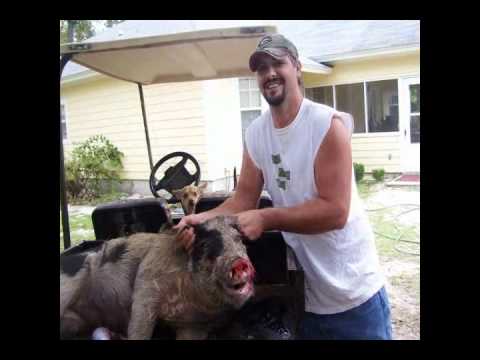 Chicken & Biscuits song