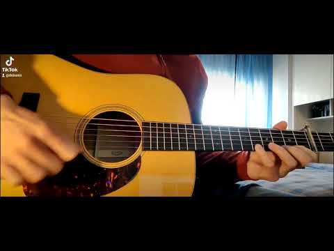 Blue Ridge Cabin Home - Tony Rice Break