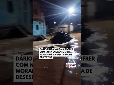 Dário Meira volta a sofrer com nova enchente e moradores vivem clima de desespero.