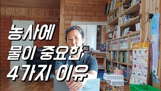 고추 다수확 공통분모는 물. 물이 중요한 4가지 이유