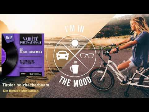 Die Bierzelt-Musikanten - Tiroler holzhackerbuam