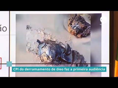 CPI do derramamento de óleo faz a primeira audiência - 05/12/19