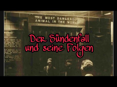 2. Der Sündenfall und seine Folgen - Joachim Langhammer (1994) Biblische Lehre