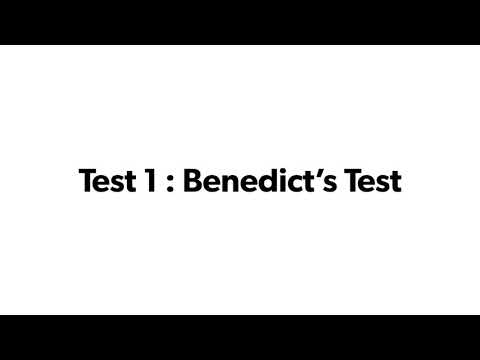 BCM202 Laboratory 1 : Colorimetric Tests For Carbohydrates