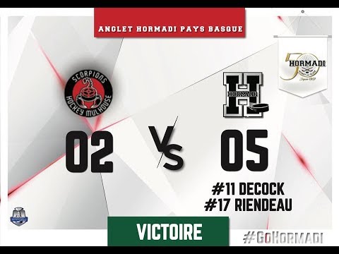 [Highlights SLM J06] Les Scorpions de Mulhouse Vs Anglet Hormadi Pays Basque