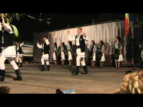 ansamblul somesul apahida