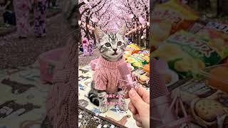 I Interviewed a Cat at Cherry Blossom Season 🌸 #shorts #cat #funnycat #cutecat #kitten #street