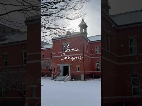 哲学科 Snow Campus 2025⛄