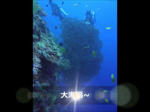 download lagu mp3 mp4 Sipadan Diving Liveaboard, download lagu Sipadan Diving Liveaboard gratis, unduh video klip Sipadan Diving Liveaboard