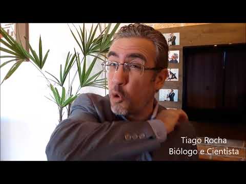 THE 3 FOODS THAT CAN NEVER LEAVE YOUR DIET. (Tiago Rocha)