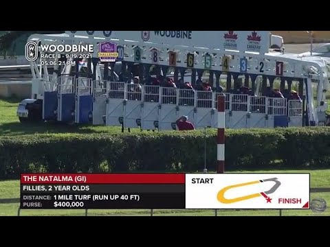Natalma Stakes (GI) - Race Replay