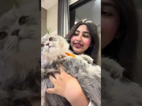 يوميات لين البارقي  💕💕🥀#لايك واشتراك  💕💖🤠🥀