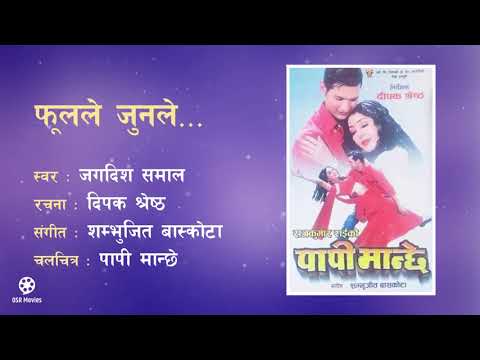 Phool Le Jun Le - Nepali Movie PAPI MANCHHE || HD Audio Song || Jagadish Samal || Nikhil, Sanchita