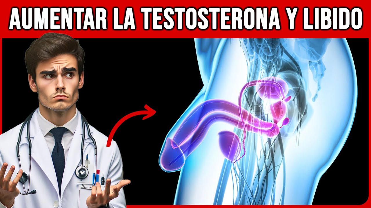 🚨¡DESCUBRE! 15 Alimentos para Aumentar la Testosterona y Mejorar tu Libido