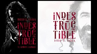 Diego El Cigala - Indestructible (Album)